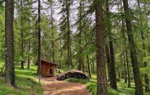 Journée Pique Nique et Accrobranche au bois des Amoureux